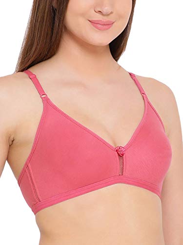 Image of Clovia Women Bra