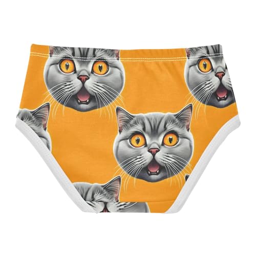 Designer Toddler Underwear Floral 2t Cotton Cute Panties Girl Cute Cat Faces Orange Animal Briefs Undies Kids2