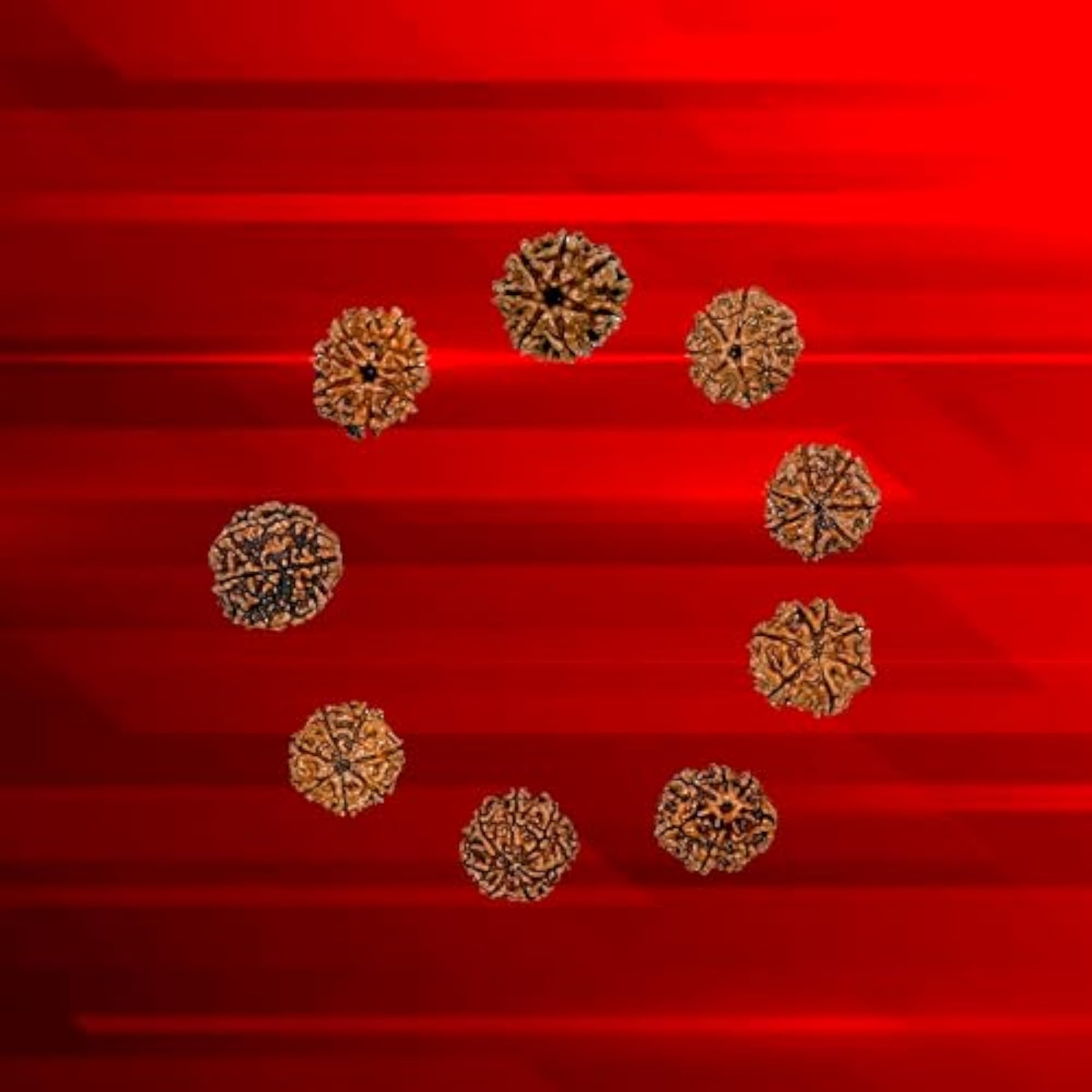 7 Mukhi Original Certified Nepali Rudraksha Pendant, Unisex