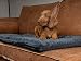 TrendPet Harmony 4cm Gefütterte Hundedecke, Katzendecke, Liegedecke für Hunde und Katzen, Anthrazit, 75x55cm