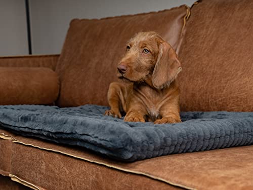 TrendPet Harmony 4cm gefütterte Hundedecke, Katzendecke, Liegedecke für Hunde und Katzen (Anthrazit, 50x35cm)
