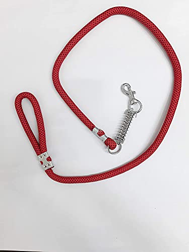 Image of Foodie Puppies Dog Rope Leash with Spring, Metal Hook for Large Dogs 15mm, 150cm (Color May Vary)