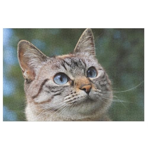 L   pY NG[VAjObY ϋv l jp D ߋ t@[Xg`CX ؐ  Ǐ葡蕨 av[g 1000 PCS