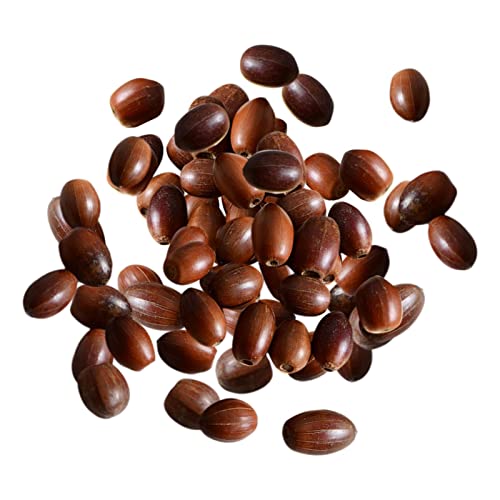 STARTIST 100個の天然どんぐり本物のどんぐりキャップホームDIYクリスマス, 天然どんぐり