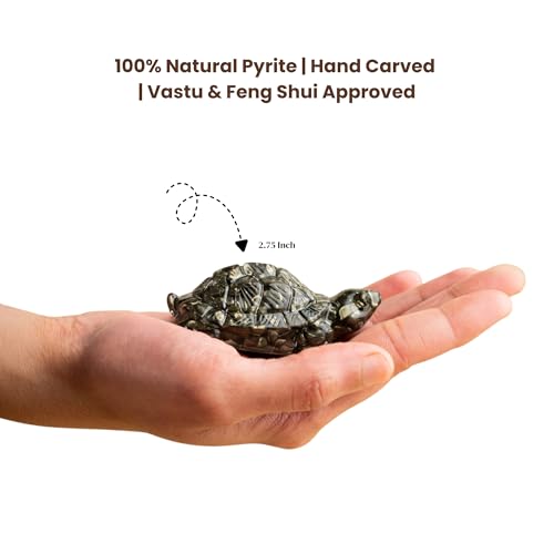 Image of Pyrite Tortoise Kachhua 2.7 Inch | Certified Original Crystal Turtle for Money, Good Luck & Wealth | Vastu Shastra Feng Shui Decor | Housewarming Gift Home Office (Pyrite Tortoise & Owl Combo)