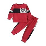 [Cousannory] Tシャツ 子供服 男の子 女の子 迷彩柄 パーカー スウェットパンツ 2点セット ベビー服 長袖 トレーナー ズボン 上下セット ジャージ キッズ服 プルオーバー パンツ カジュアル Tシャツ ロングパンツ セットアップ 春夏秋(Hレッド,80)