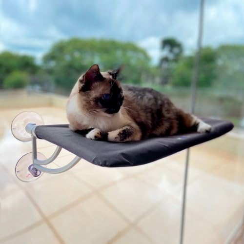 Petlon Cama De Janela Para Gatos Petlon - Preto