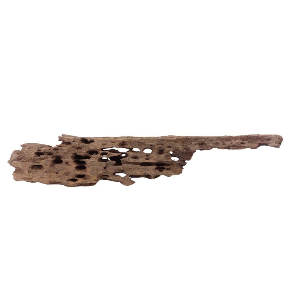 XL Honey Comb Raíz nº 1932 Acuario Raíz Mangrove Madera Decoración Paisaje Musgo Naturaleza Madera Auténtica