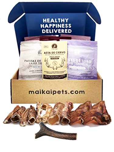 MAIKAI Confezione Masticativi Naturali per Cani (5 pezzi + Corno di...