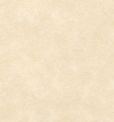Parchment Paper Cardstock, 8.5 X 11 Inches, Natural (100)