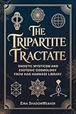 The Tripartite Tractate : Gnostic Mysticism and Esoteric Cosmology from Nag Hammadi Library
