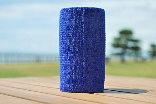 {Yp oe[W (10cm X 4.5mj12×1P[X eF (F)