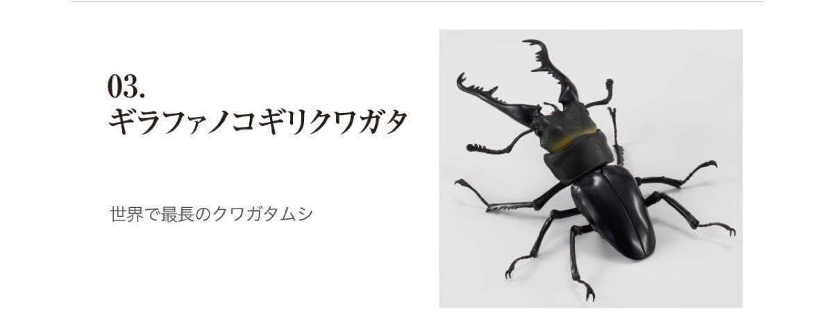 Amazon.co.jp: コンプリートセット いきもの大図鑑くわがた01 ギラファ