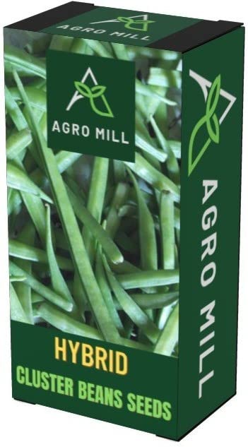 AGRO MILL CLUSTER BEANS/GUAR KI FHALI/GAWAR KI FALI (FOR KITCHEN GARDEN)-2