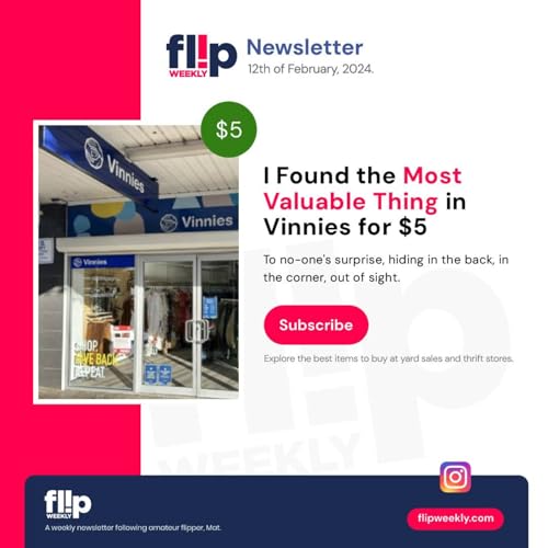 I Found the Most Valuable Thing in Vinnies for $5