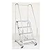 Rolling Ladder, Handrail, Platform 40 In H
