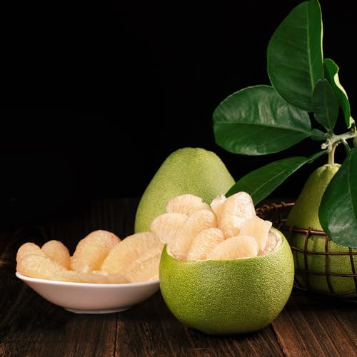 Pomelo bio topfpflanzen stauden winterhart mehrjährig, garten winterharte pflanztöpfe obstbäume obstsamen obstbaum garten pflanzensamen 100samen