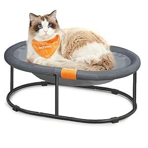 Feandrea Cat Bed, Elevated Pet Bed for Average Cats, Cat Hammock, Cat Bed for Indoor, Outdoor, Dog Bed for Miniature Dogs, with Removable Washable Mesh, 24.4 x 16.5 x 7.9 Inches, Oval, Gray UPCB002G01