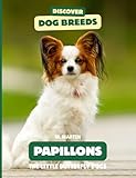 papilloma virus sintomi  Papillons: The Little Butterfly Dogs