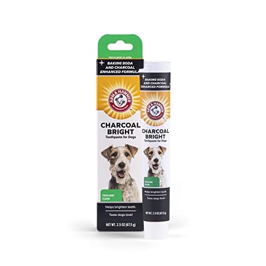 Arm & Hammer Pasta de dentes carvão brilhante para cães, carvão | Seguro para animais de estimação, pasta de dente natural e aromatizador de hálito com carvão e enzimas | 70 g de pasta de limpeza de dentes caninos para braço e martelo