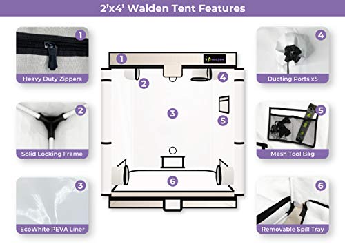Active Grow Walden 2X4 Grow Tent - 100% Peva Non-Toxic, Triple-Layer Vinyl - Ecowhite Reflective Interior & Infinity View Windows - 24''X48''X60'' Grow Tent For Hydroponic Indoor Plant Growing #TOP1