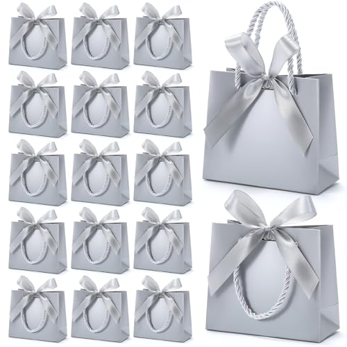 EQOREIIN 50 Pack Small Gift Bags with Handles Silver Mini Bag 5.5x 2.5x4.7 Inches Small Thank You Gift Bags Bulk with Ribbon for Party Favors Mothers Day Goodie Weddings Baby Shower(Silver)