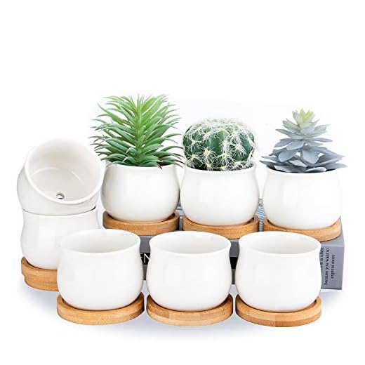 SHECIPIN Succulent Plant Pot, White Mini 2.6 inch Ceramic Flower Planter Pot with Bamboo Tray, Pack of 8 - Plants Not Included