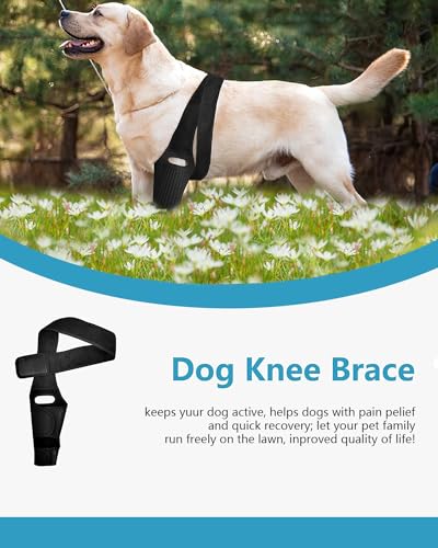 Image of Dog Knee Brace for Hind and Rear Leg, Support for Dog ACL CCL Cruciate Ligament Injury Joint Pain and Muscle Sore (Size: S)