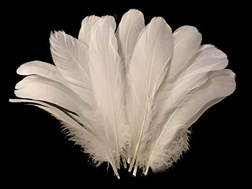 1 Pack - Ivory Goose Nagoire Wing Loose Feather - 0.25 Oz. Dream Catcher, Wedding, Halloween Craft Feathers | Moonlight Feather #TOP1