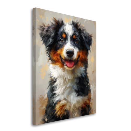 What does an aussie dog look like