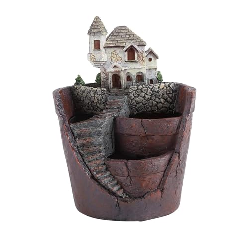 Pots de fleurs succulentes pour décorer un bureau moderne