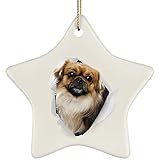 Weihnachtsdeko Mit Schnur Hängende Ornamente Keramik Weihnachtsanhänger Weihnachtsbaumschmuck Lustiger Tibet Spaniel Black Tan Kommt Aus Rissiger Wand