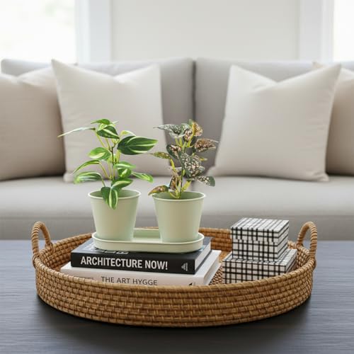 Image of KARP Artificial Potted Plants, Delphinium Flower Plant with White Pot Home Decor, Plants for Living Room, Office Desk & Bathroom, Decorative (Small-Plant-1)