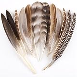 MehelloFeather Pheasant Feathers 12Pcs Natural Feathers 6 Style for DIY Crafts Hat Floral Arrangements Halloween Decorations
