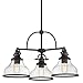 Quoizel GRTS5103PN Grant Clear Seedy Glass Chandelier, 3-Light, 300 Watts, Palladian Bronze (16" H x 24" W)