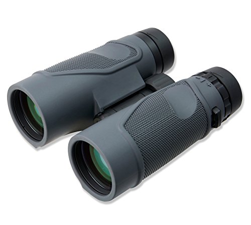 Carson 3D Series 8X42Mm Binocular With High Definition Optics (Td-842) #TOP4