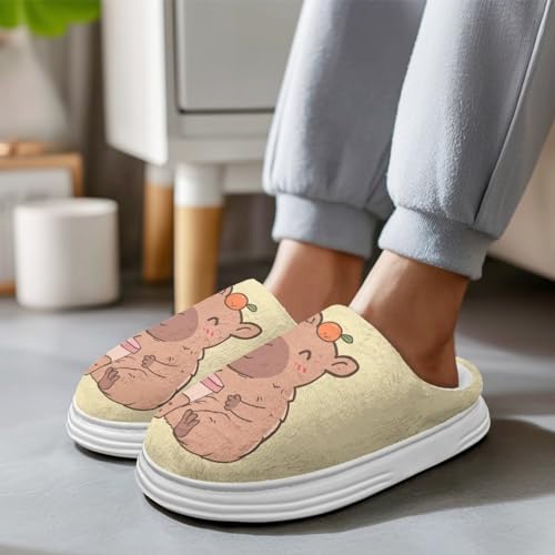 Thick Sole Memory Foam Cozy Warm Platform Slippers for Women Casual House Slippers Indoor Outdoor3