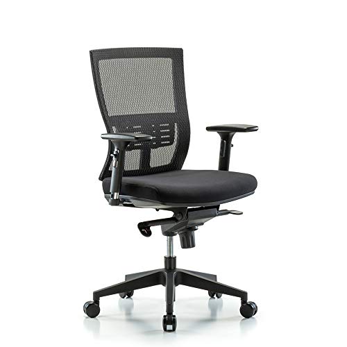 Image of Perch Ergonomic Modern Mesh Chair with Locking Backward Tilt and 3D Armrest
