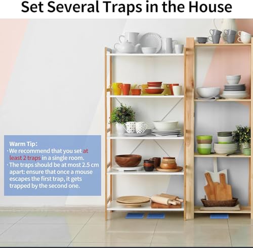 Image of LULUCATCH Mouse & Insect Traps 20 Pack, Heavier Sticky Traps with Non-Toxic Glue for Small Mice & Insects. Sticky Mouse Traps Indoor for Home, Easy to Set