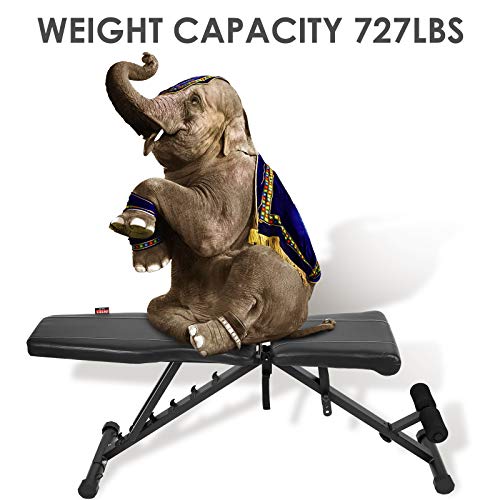 INTEY Utility Weight Bench Adjustable Strength Training Bench Foldable Exercise Bench for Home Gym Full Body Workout (Incline/Decline)