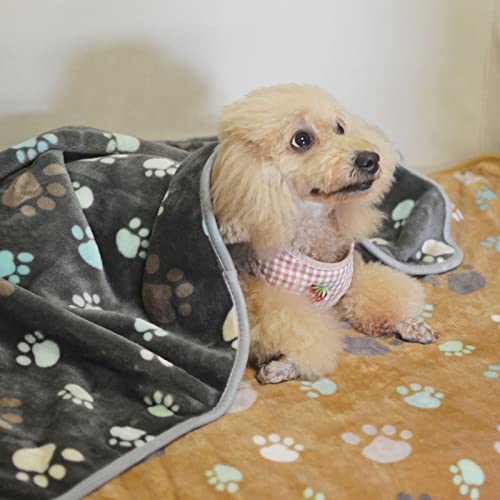 Image of 1 Pack 3 Puppy Blankets Super Soft Warm Sleep Mat Cute PAW Print Blanket Fleece Pet Blanket Flannel Throw Dog Blankets for Small Dogs Puppy Cats,Gray /White /Brown-Small(23 inchx15 inch)