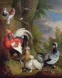 DQCJIYIGL De Célèbres Tableaux Affiche de Arts Affiche Artistique Oiseaux exotiques dans un paysage par Jakob Bogdani ou Bogdany Prints Toile Pour la Décoration du Salon 60x90cm