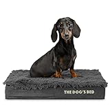 The Dog's Balls