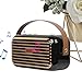 Altoparlante wireless retrò - Altoparlante compatto per uso esterno,lettore audio basso per campeggio fitness all'aperto, trasmettitore di musica portatile immagine