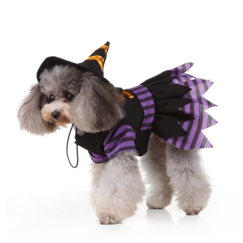 Disfraz de bruja Halloween para perros Totority L