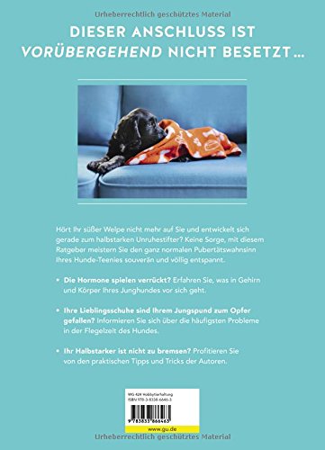 Wenn der Welpe zum halbstarken Hund wird: Gelassen...