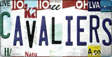 SMART BLONDE Cavaliers Strip Art Novelty Metal Bicycle Plate BP-13215