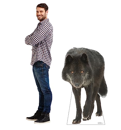 Image of Cardboard People Canadian Black Wolf Life Size Cardboard Cutout Standup - Made in USA