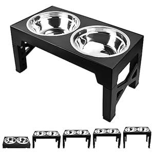Dog Bowls with Stand Double Dog Food and Water Bowl Elevated Dog Bowls Raised Dog Bowl with Adjustable Height Stainless Steel Raised Dog Bowl for Cats and Dogs Dog Feeding Station for Large Medium Dog