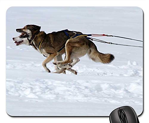 Gaming Mouse Pads,Mouse mat,Husky Dog Animal Face Race Dog Sled ...